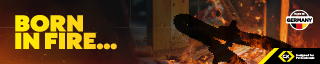 Born in fire