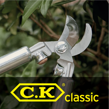 C.K Classic